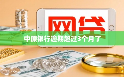 中原银行逾期超过3个月了