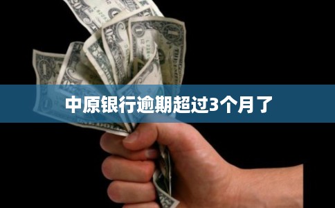 中原银行逾期超过3个月了