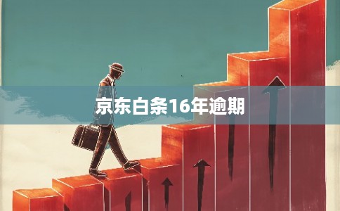 京东白条16年逾期