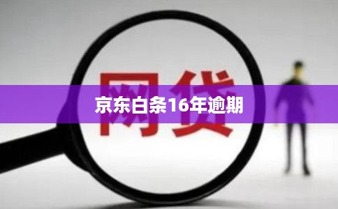 京东白条16年逾期