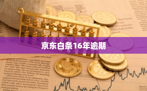 京东白条16年逾期