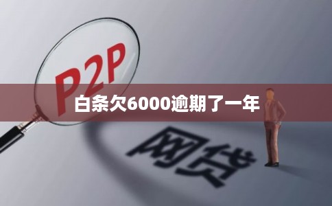 白条欠6000逾期了一年