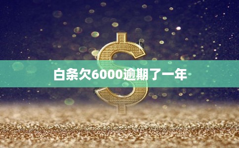 白条欠6000逾期了一年