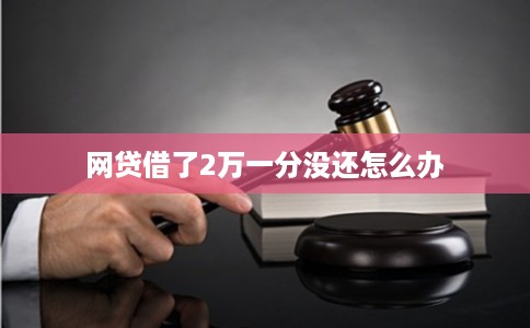 网贷借了2万一分没还怎么办