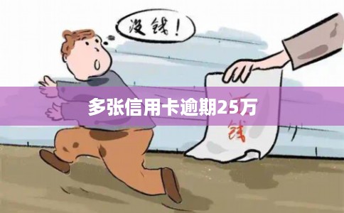 多张信用卡逾期25万