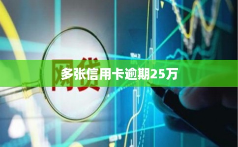 多张信用卡逾期25万