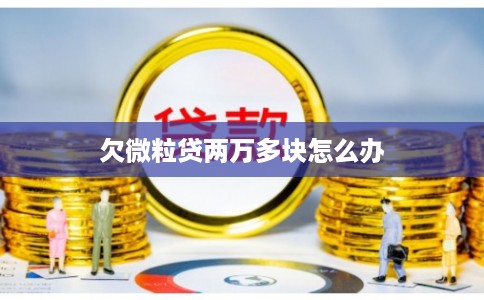 欠微粒贷两万多块怎么办