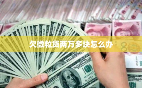 欠微粒贷两万多块怎么办
