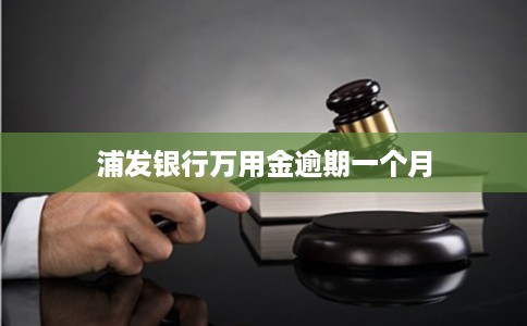 浦发银行万用金逾期一个月