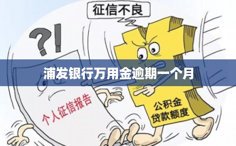 浦发银行万用金逾期一个月