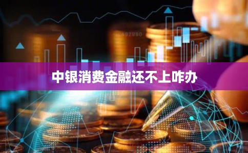 中银消费金融还不上咋办 中银消费金融还不上咋办
