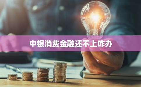 中银消费金融还不上咋办 中银消费金融还不上咋办