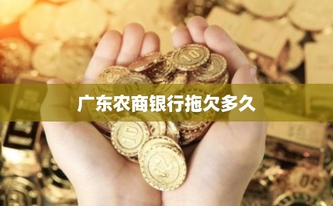广东农商银行拖欠多久