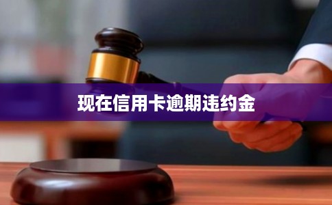 现在信用卡逾期违约金