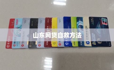 山东网贷自救方法
