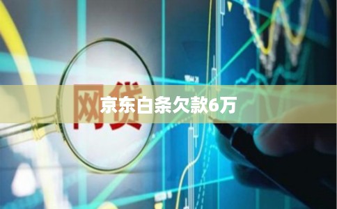 京东白条欠款6万