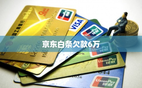 京东白条欠款6万