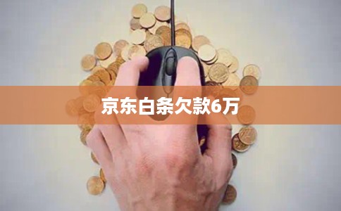 京东白条欠款6万