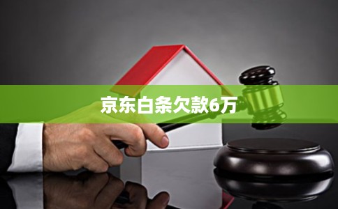 京东白条欠款6万
