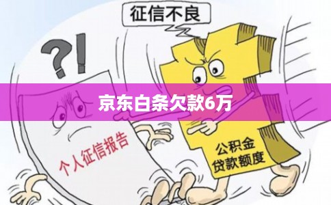 京东白条欠款6万