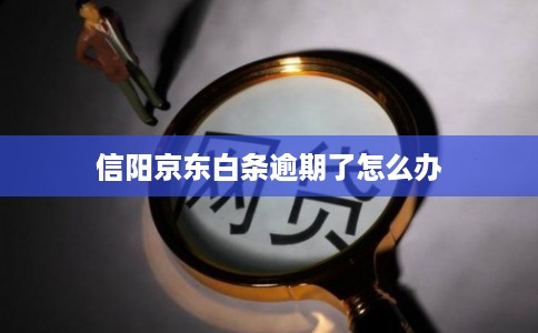 信阳京东白条逾期了怎么办