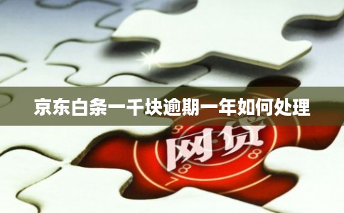 京东白条一千块逾期一年如何处理