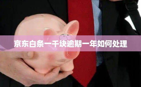 京东白条一千块逾期一年如何处理