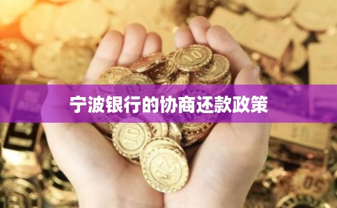 宁波银行的协商还款政策