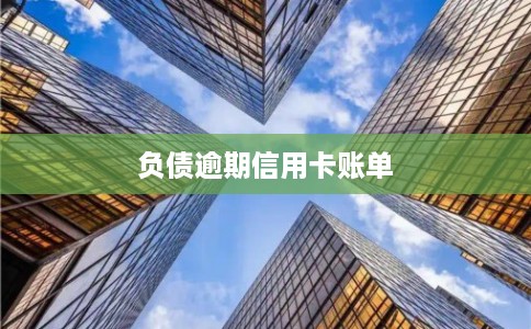 负债逾期信用卡账单