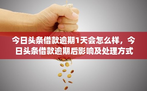 今日头条借款逾期1天会怎么样，今日头条借款逾期后影响及处理方式