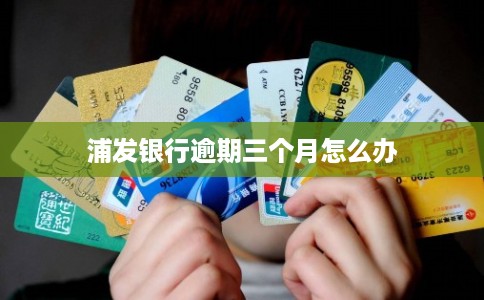 浦发银行逾期三个月怎么办