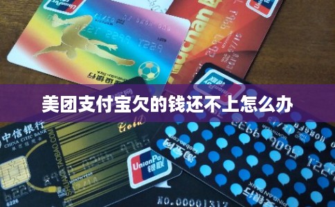 美团支付宝欠的钱还不上怎么办