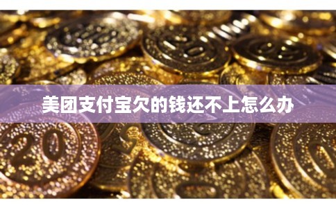 美团支付宝欠的钱还不上怎么办
