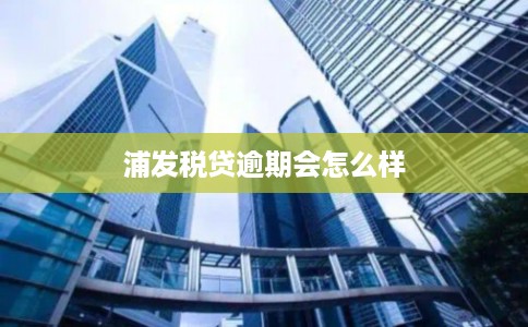 浦发税贷逾期会怎么样