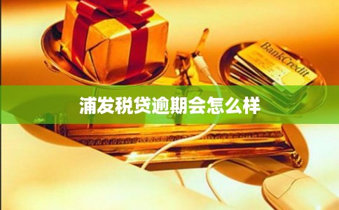 浦发税贷逾期会怎么样