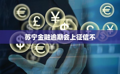 苏宁金融逾期会上征信不