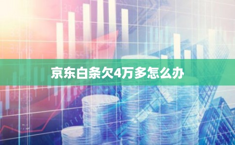 京东白条欠4万多怎么办