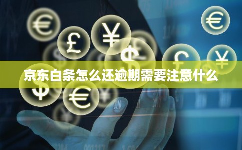 京东白条怎么还逾期需要注意什么
