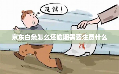 京东白条怎么还逾期需要注意什么