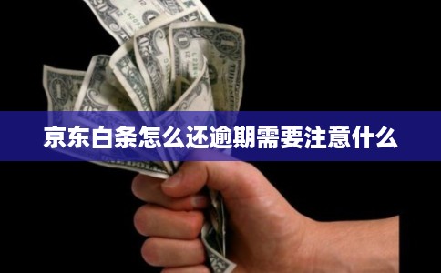 京东白条怎么还逾期需要注意什么