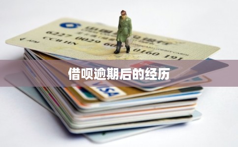 借呗逾期后的经历