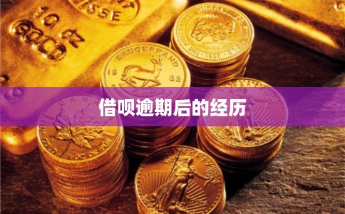 借呗逾期后的经历