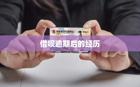 借呗逾期后的经历
