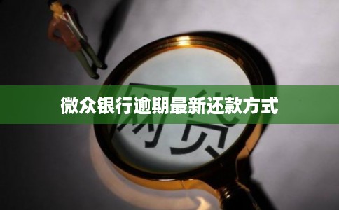 微众银行逾期最新还款方式