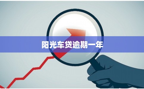 阳光车贷逾期一年