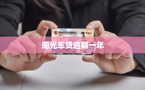 阳光车贷逾期一年