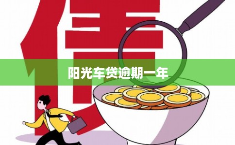 阳光车贷逾期一年