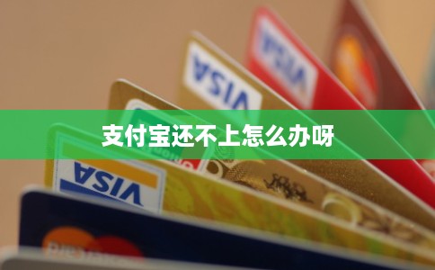 支付宝还不上怎么办呀 支付宝还不上怎么办呀