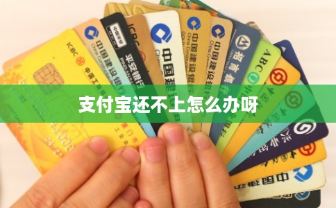 支付宝还不上怎么办呀 支付宝还不上怎么办呀