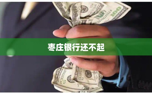 枣庄银行还不起